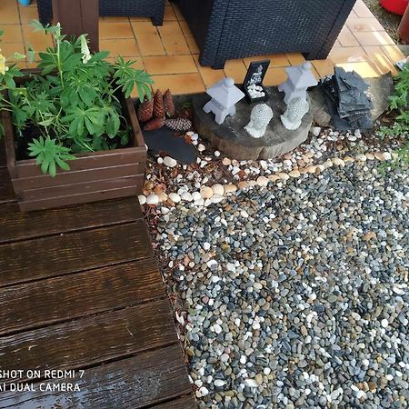 Chalet Camping Les Vignes Lit-et-Mixe Dış mekan fotoğraf