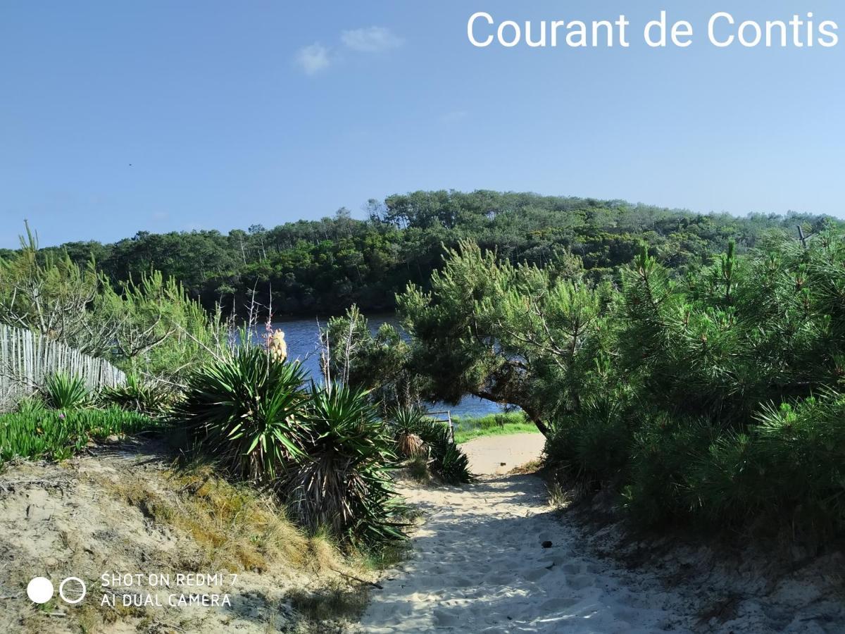 Chalet Camping Les Vignes Lit-et-Mixe Dış mekan fotoğraf